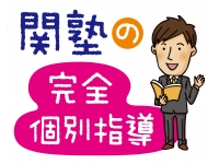 こんなお子様に人気です