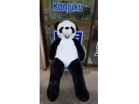 教室マスコット
