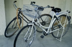 自転車置き場