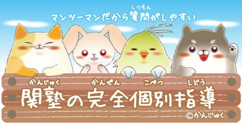 集団指導&個別指導