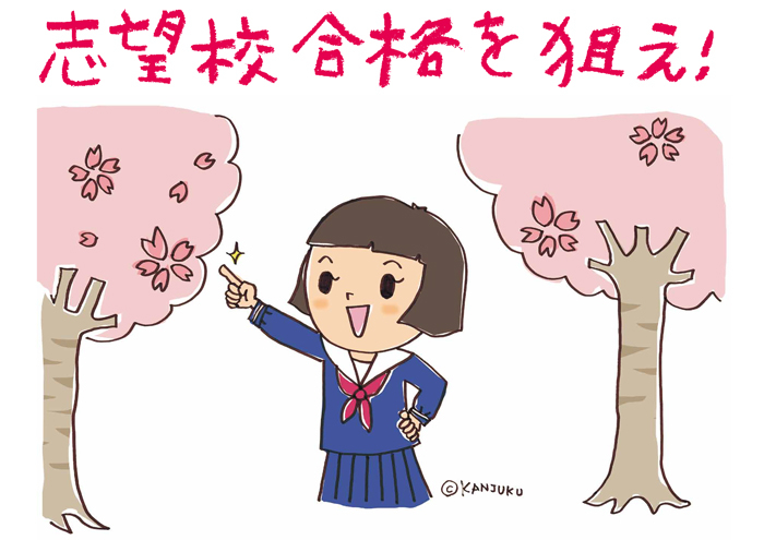 2017年入試結果